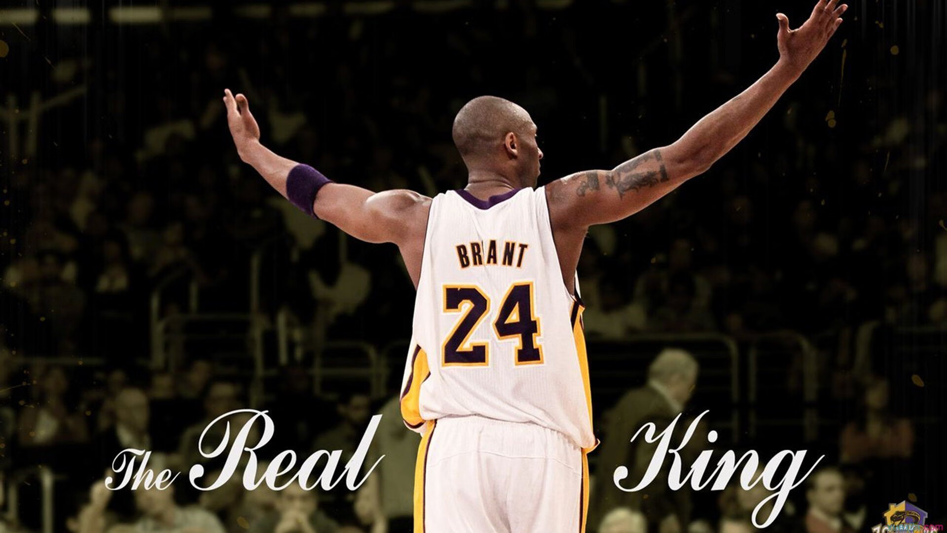 最伟大球员：统计、荣耀与硬核纪录盘点，荣耀冠军球员实力和潜力