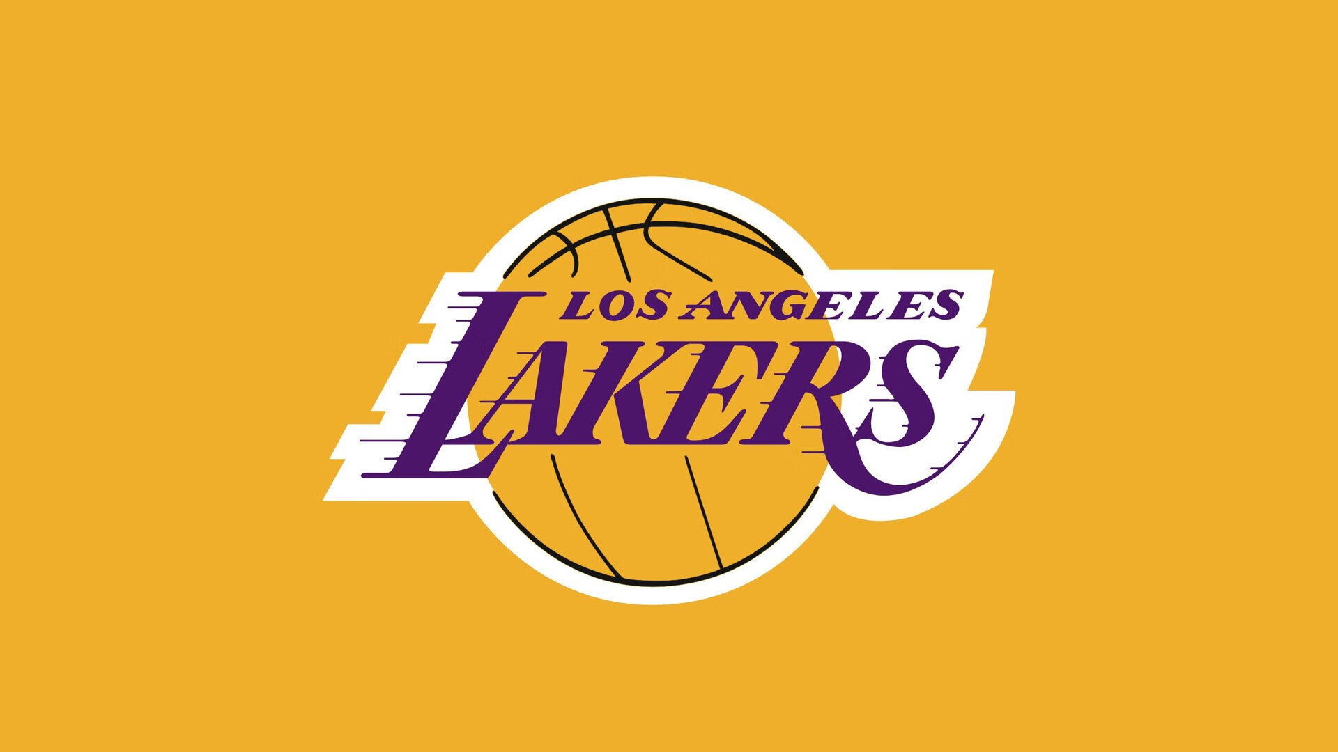 篮球青训基地建设项目获政府支持，篮球青年训练营